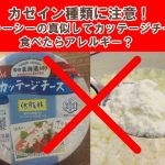 カゼイン種類に注意！グレーシーの真似してカッテージチーズ食べたらアレルギー？